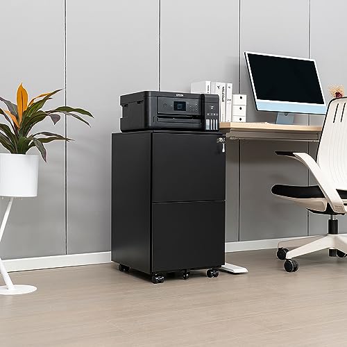 White 2-Drawer Rolling Metal File Cabinet with Lock Z247