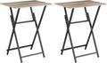 Rustic Brown Black TV Tray Table 2-Piece Portable Tables I753653