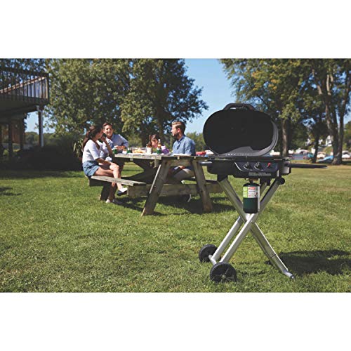 Portable Stand-Up Propane Grill with Push-Button Starter K5373