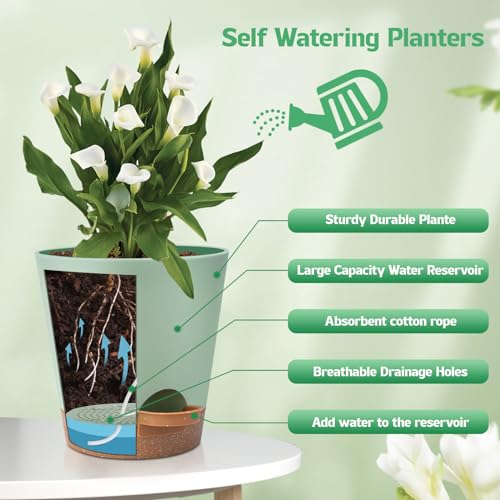 Self Watering Plastic Plant Pots with Drainage Hole and Saucers Q590857