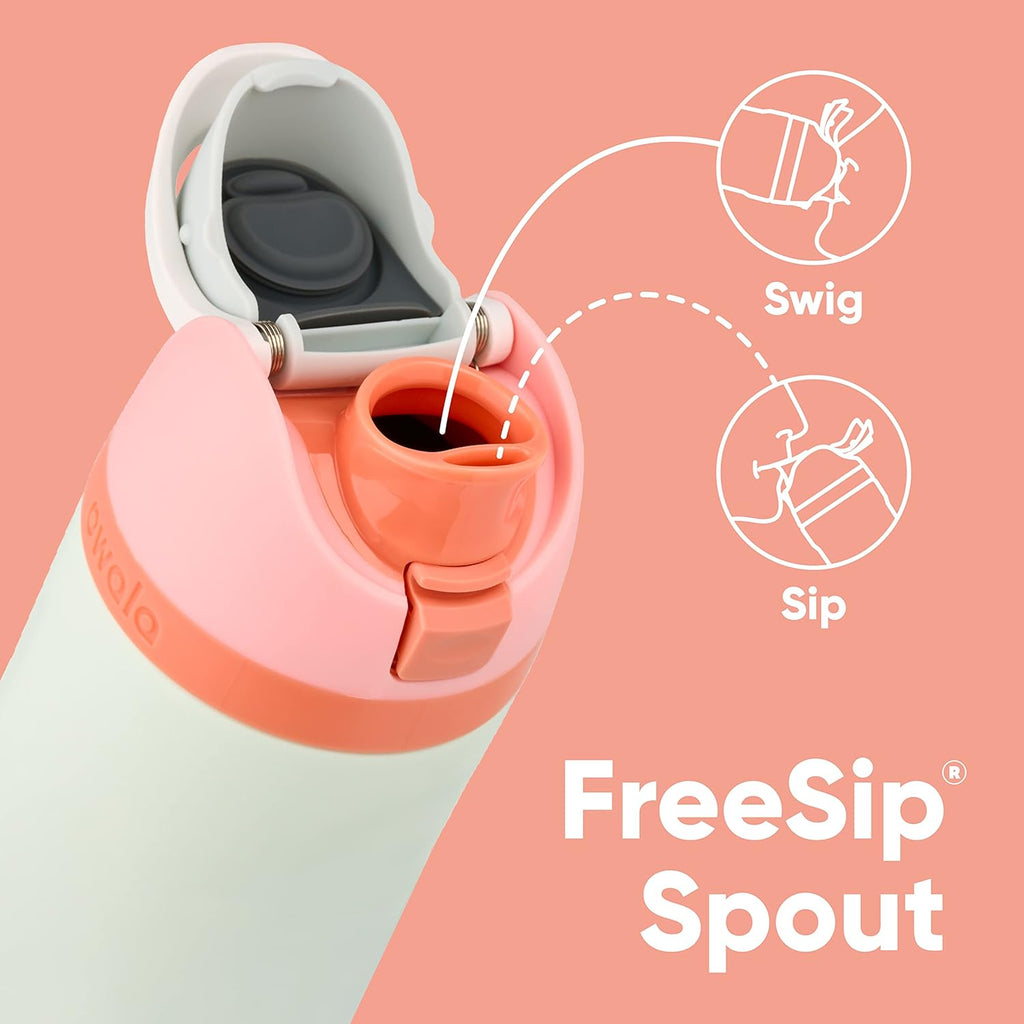 32 Oz Insulated Stainless Steel Water Bottles with Straw, Set of 2 K470