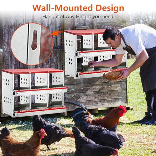 6 Compartment Metal Chicken Nesting Boxes V729816