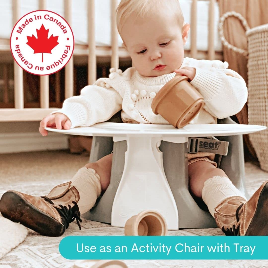 Baby Chair Booster Seat with Tray Y779