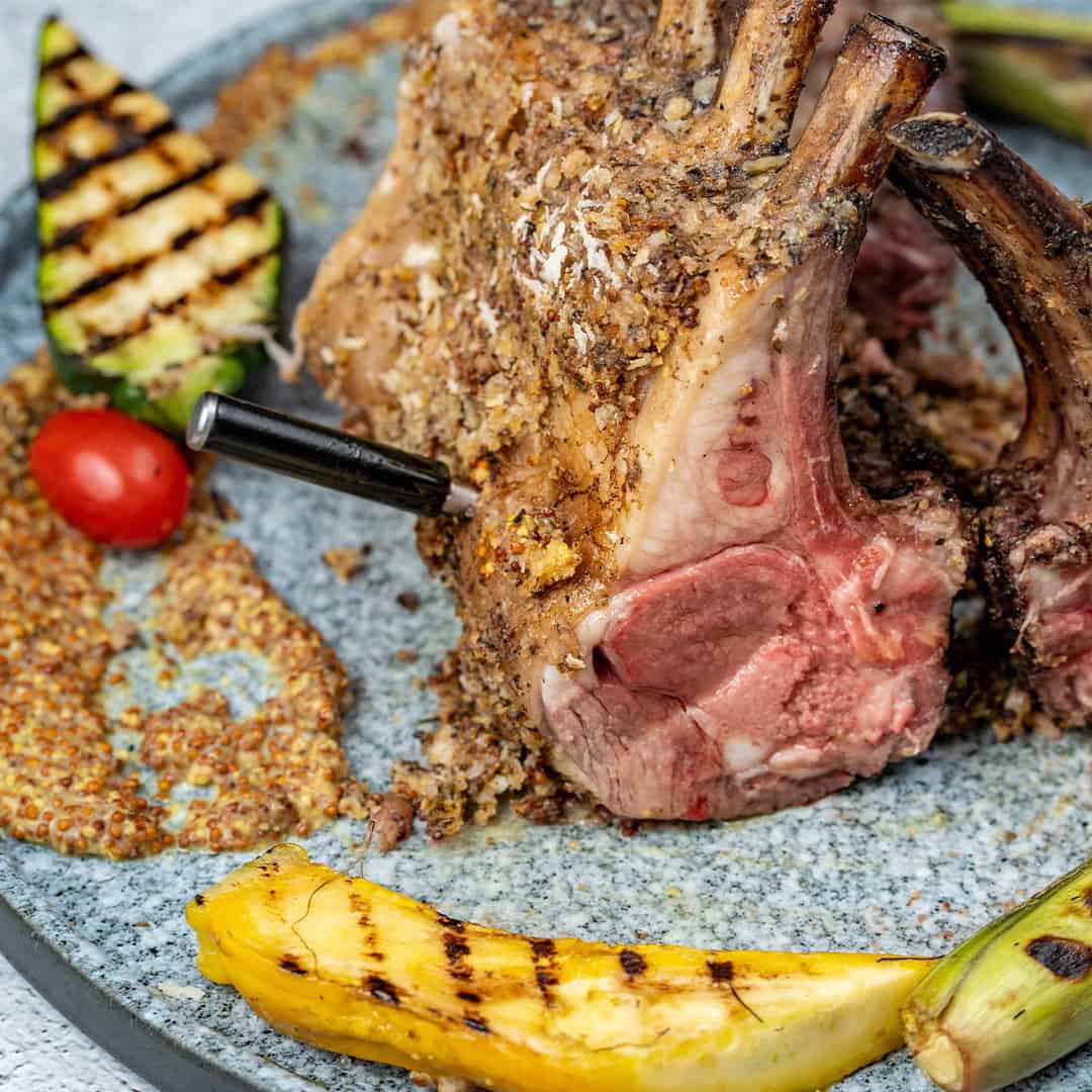 Wireless Meat Thermometer with Bluetooth K477