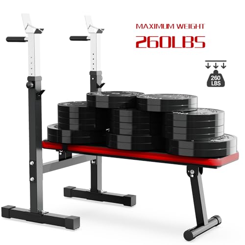 Adjustable Weight Bench Press with Squat Rack Folding Dip Station O782