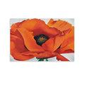 24x36inch Unframe-Style Canvas Wall Art Poster E577301