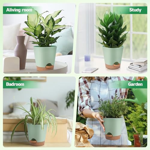 Self Watering Plastic Plant Pots with Drainage Hole and Saucers Q590857