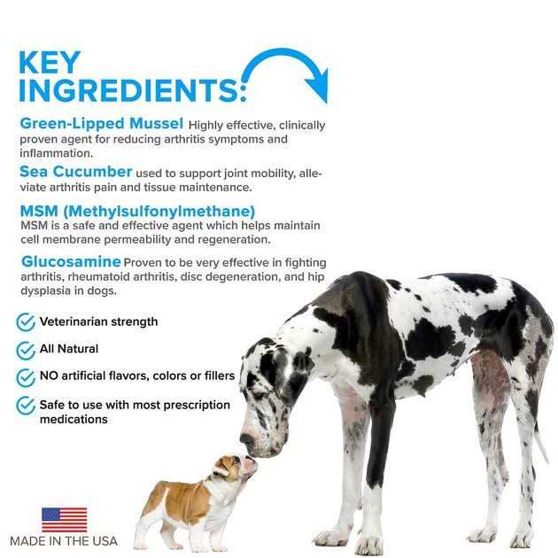 Advanced Hip + Joint Complex with MSM and Green-Lipped Mussel for Dogs B690644