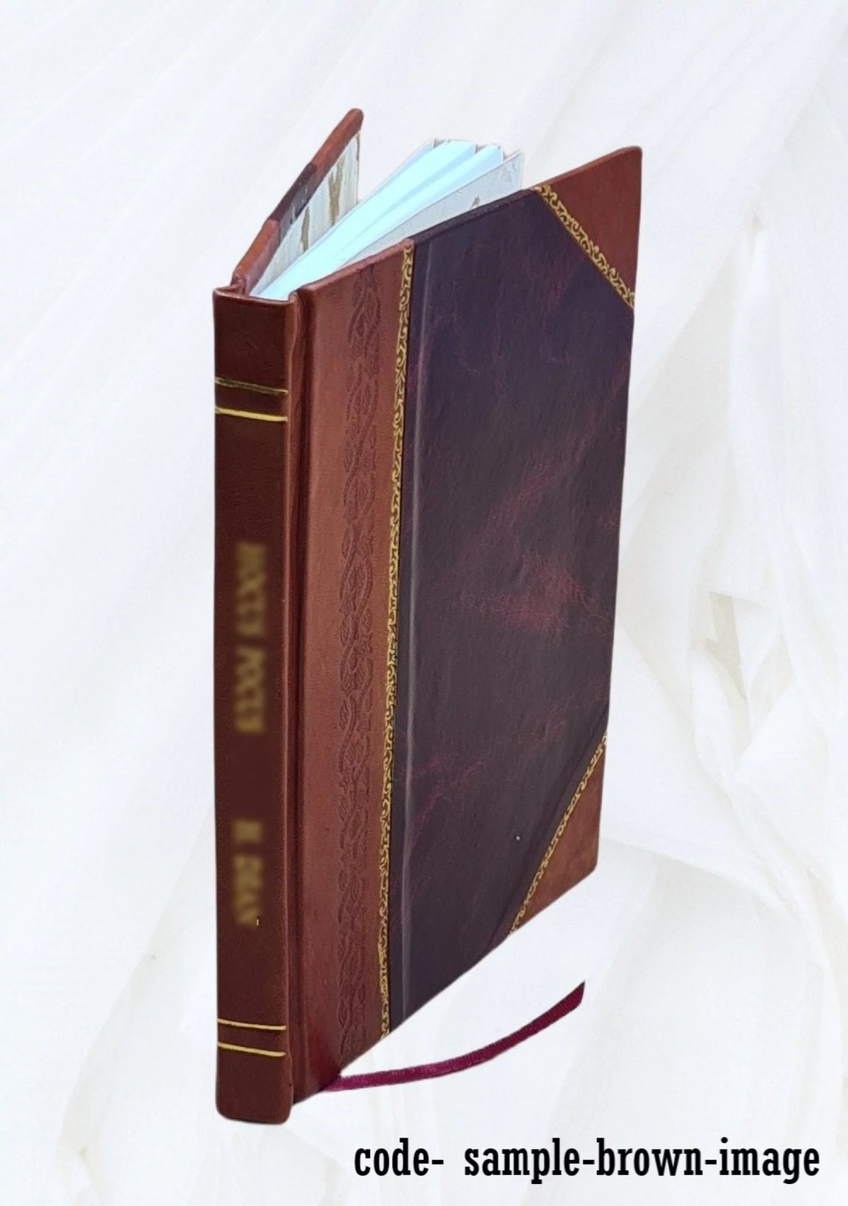 Leather Bound Book H907