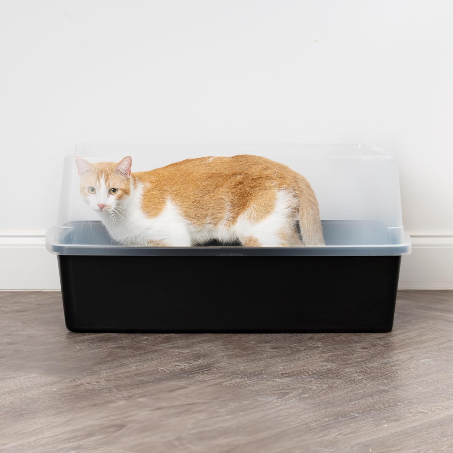 Black Open Top High Sided Cat Litter Box Y97622