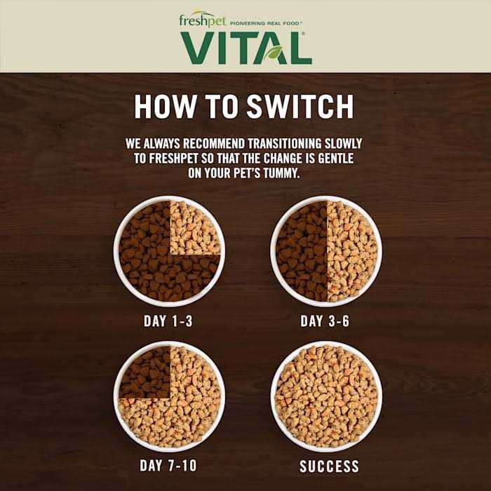 Grain-Free Chicken Recipe Cat Food U20460