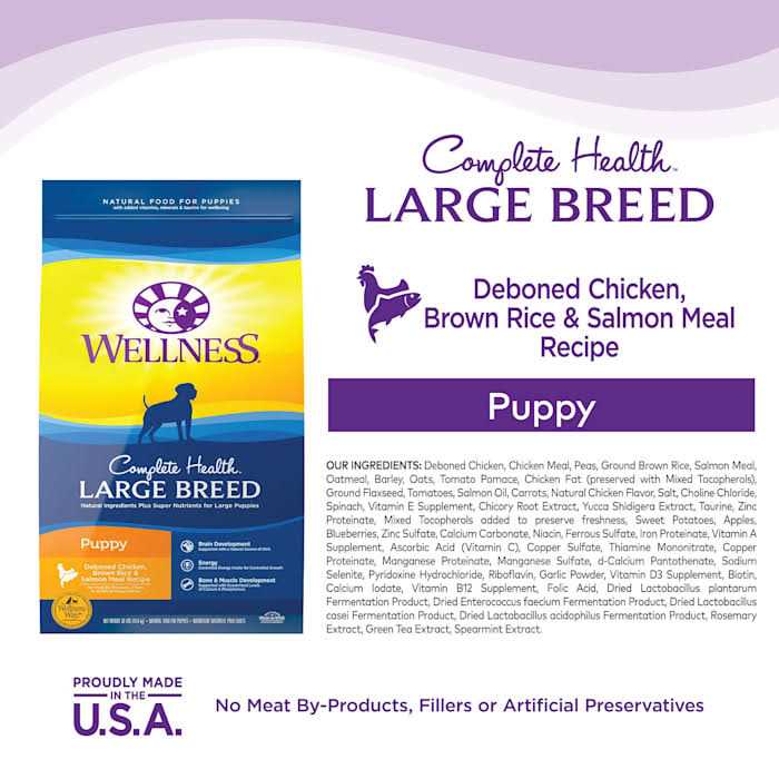 Large Breed Puppy Dry Dog Food Z219593