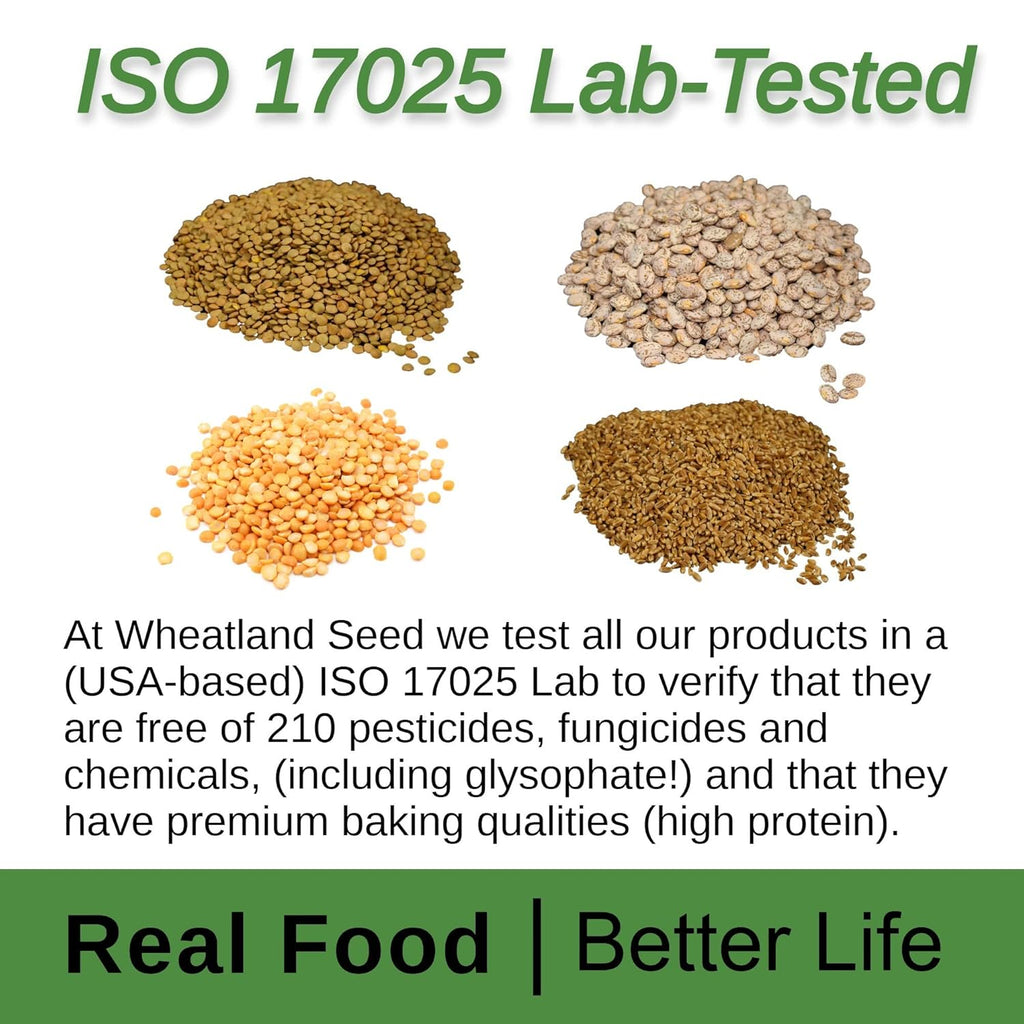 Hard White Wheat Berries 100 lbs C8530