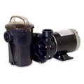 1.5 HP Pool Pump F217592