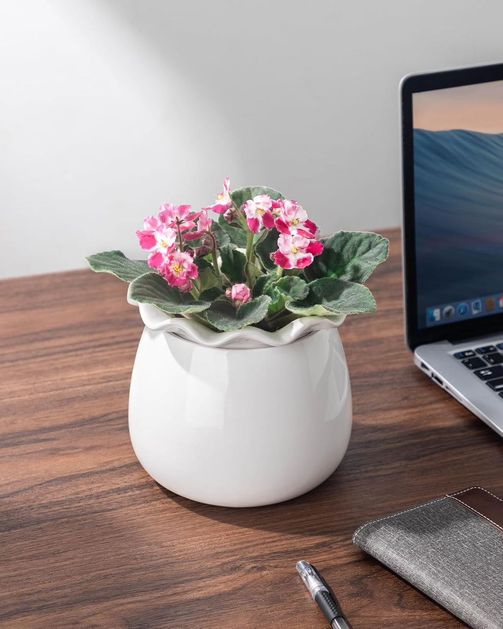 6 Inch Ceramic Self-Watering Plant Pot O625776