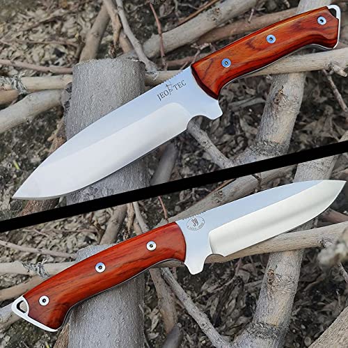 Fixed Blade Full Tang 11" MOVA Stainless Steel Knife with Sheath G92525
