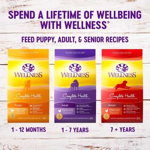 Large Breed Puppy Dry Dog Food Z219593