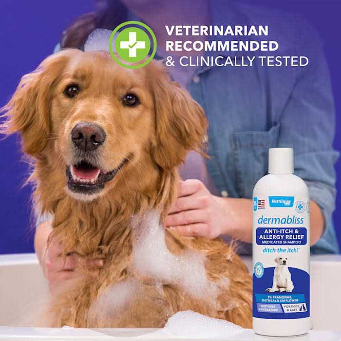 Anti-Itch & Allergy Relief Medicated Shampoo 16oz L140