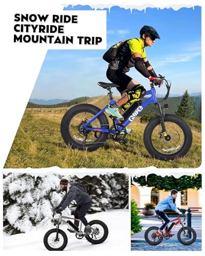 Fat Tire Electric Bike with 20X4.0 Tire, 7-Speed D8552