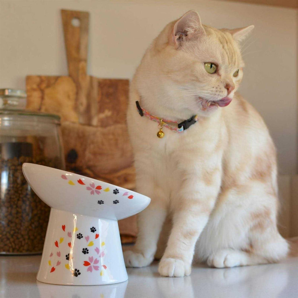 Extra Wide Raised Cat Food Bowl M966263