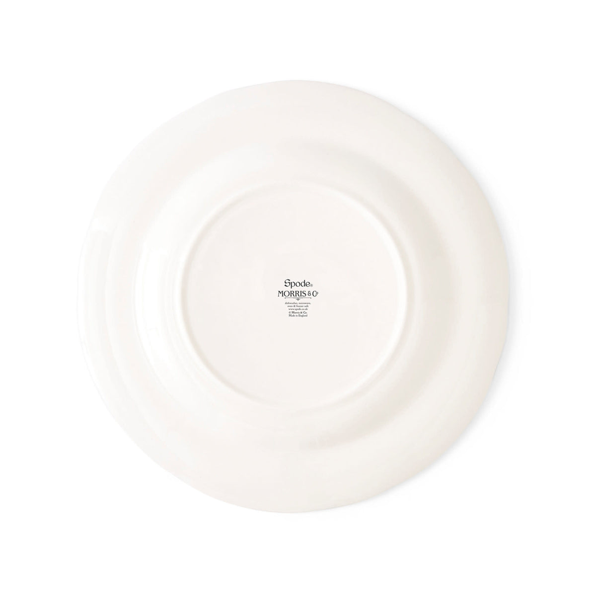 Multicolored Luncheon Plate Set of 4 O91501