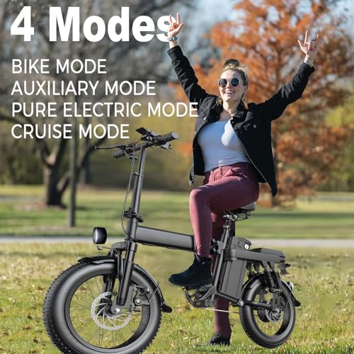 750W Electric Bike with 48V20AH Battery and 16"×3" Fat Tire R206