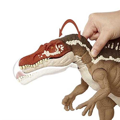 Extreme Chompin' Spinosaurus Dinosaur Action Figure Toy with Movable Joints Z362