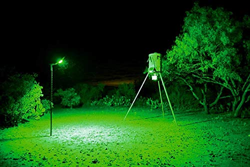 Motion Activated Feeder Light with Remote Control C575