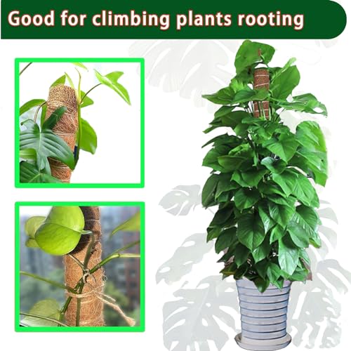 Moss Pole -2 Pack 17 Inch Plant Support Stakes M609