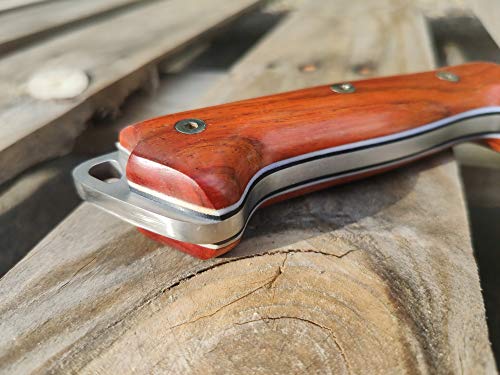 Fixed Blade Full Tang 11" MOVA Stainless Steel Knife with Sheath G92525