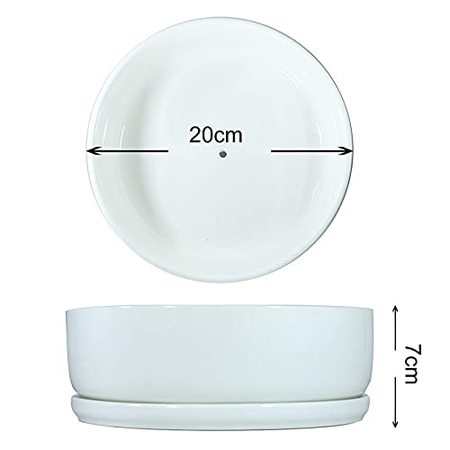 8 inch White Round Ceramic Planter with Removable Saucer V44792