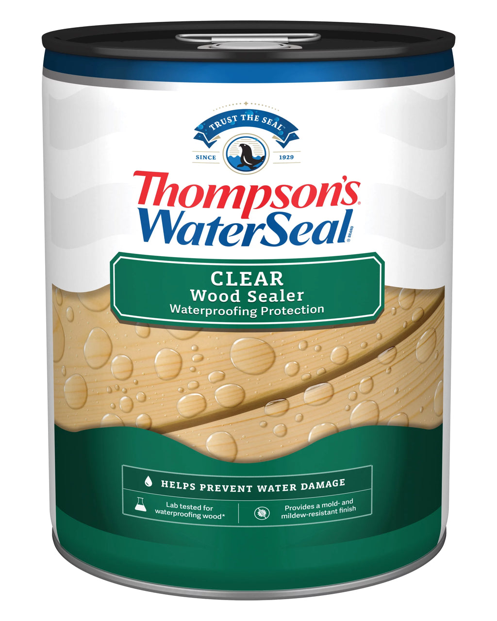 Clear Wood Sealer, 5 Gallon X6446