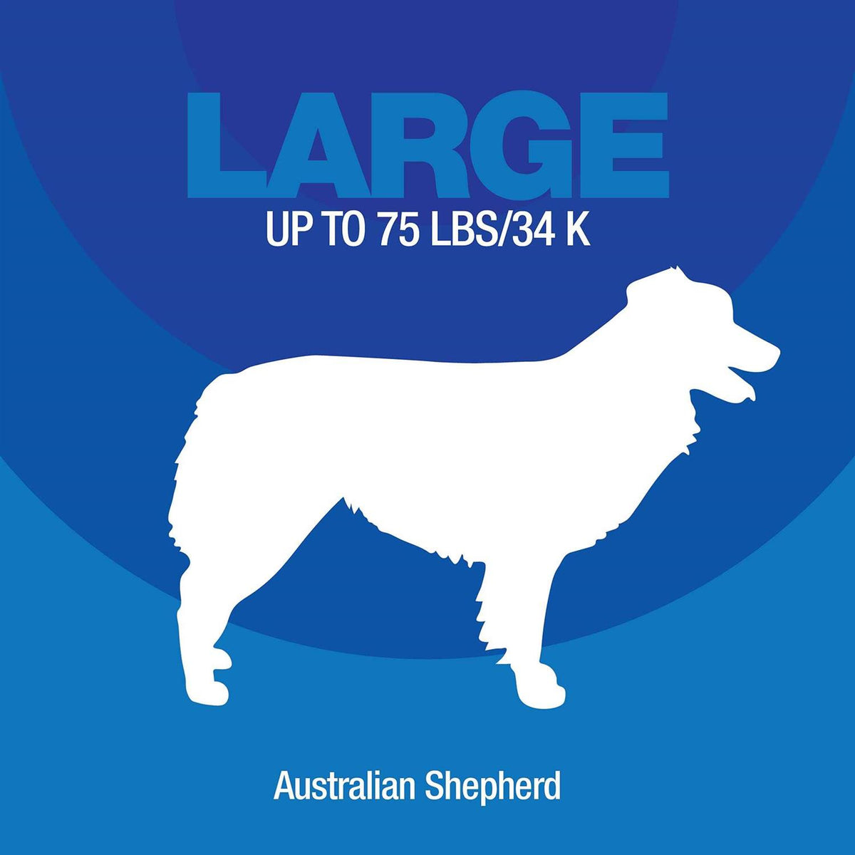 Chaise Dog Bed L849
