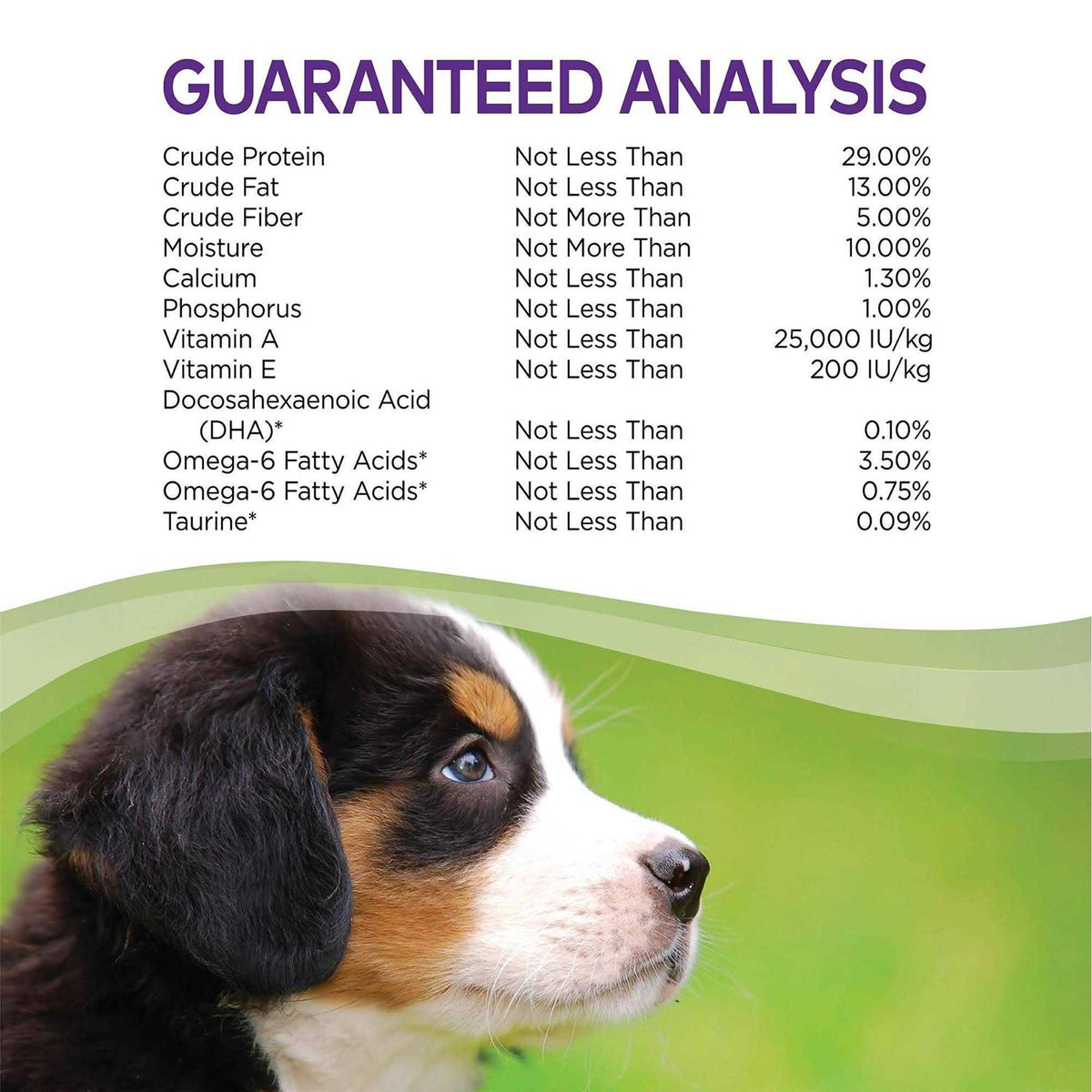 Large Breed Puppy Dry Dog Food Z219593