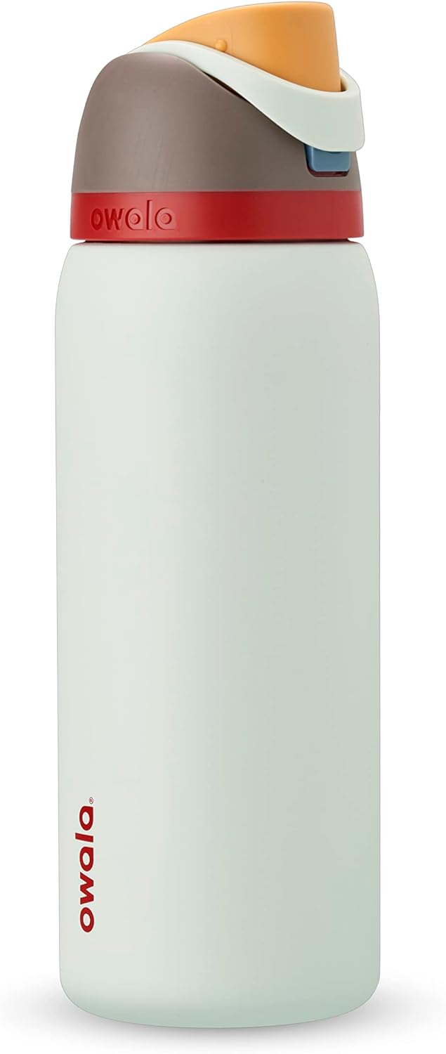 32 Oz Insulated Stainless Steel Water Bottles with Straw, Set of 2 K470
