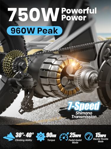 Electric Trike with 750W Motor, 48V 18AH Battery, 20" Fat Tire, Large Basket Q46738