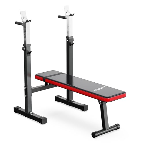 Adjustable Weight Bench Press with Squat Rack Folding Dip Station O782