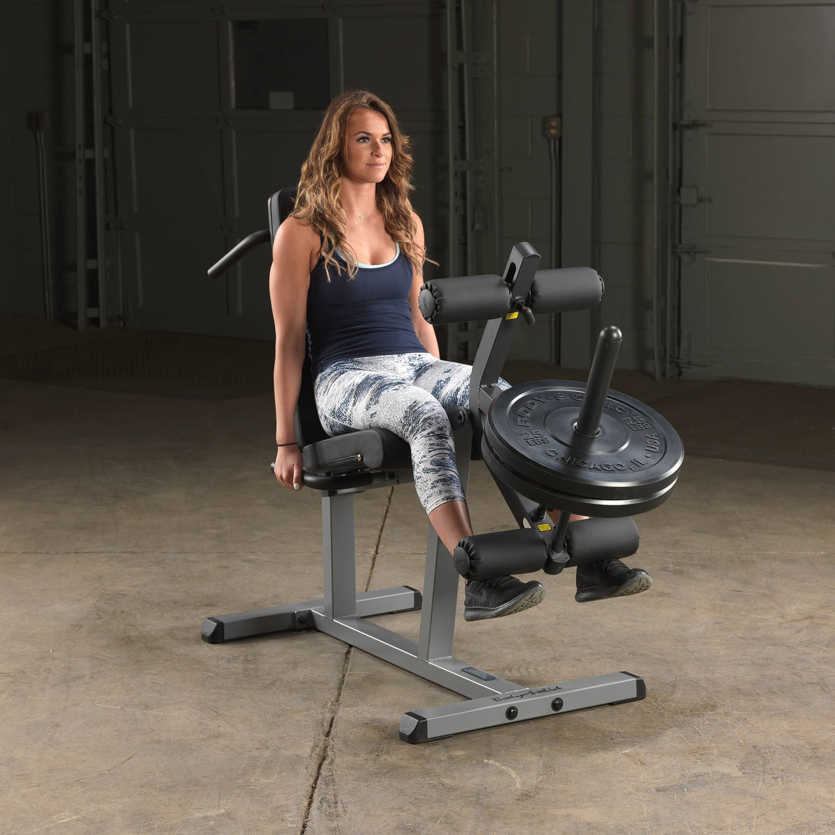 Seated Leg Extension and Supine Curl X9841