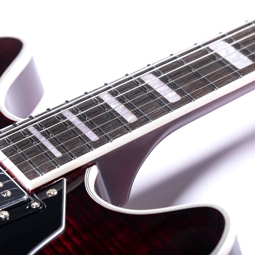 Black Semi-Hollow Body Electric Guitar S90771