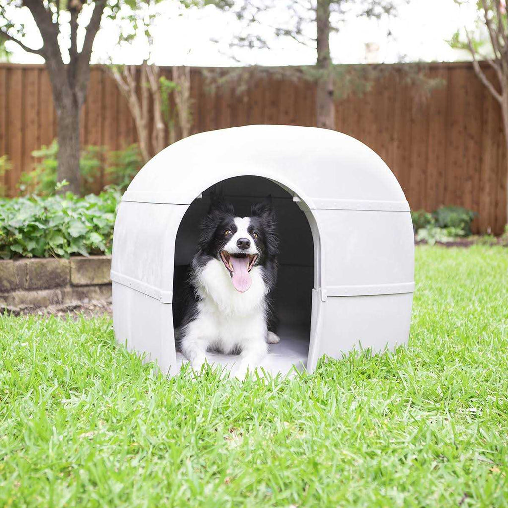 Outback Dog House N98505