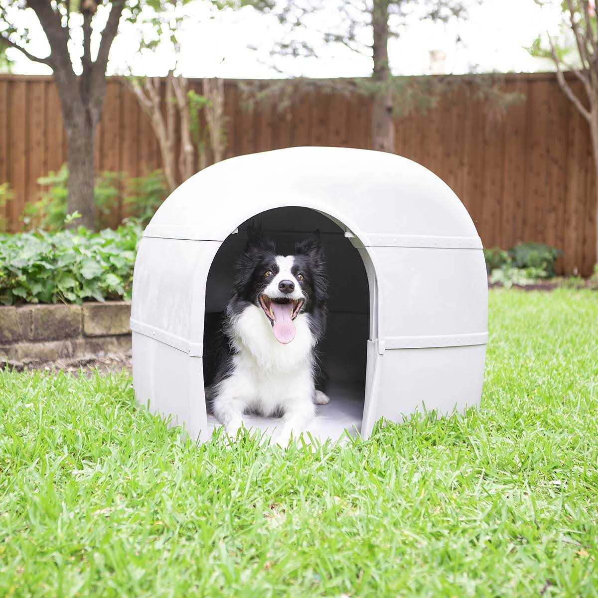 Outback Dog House N98505