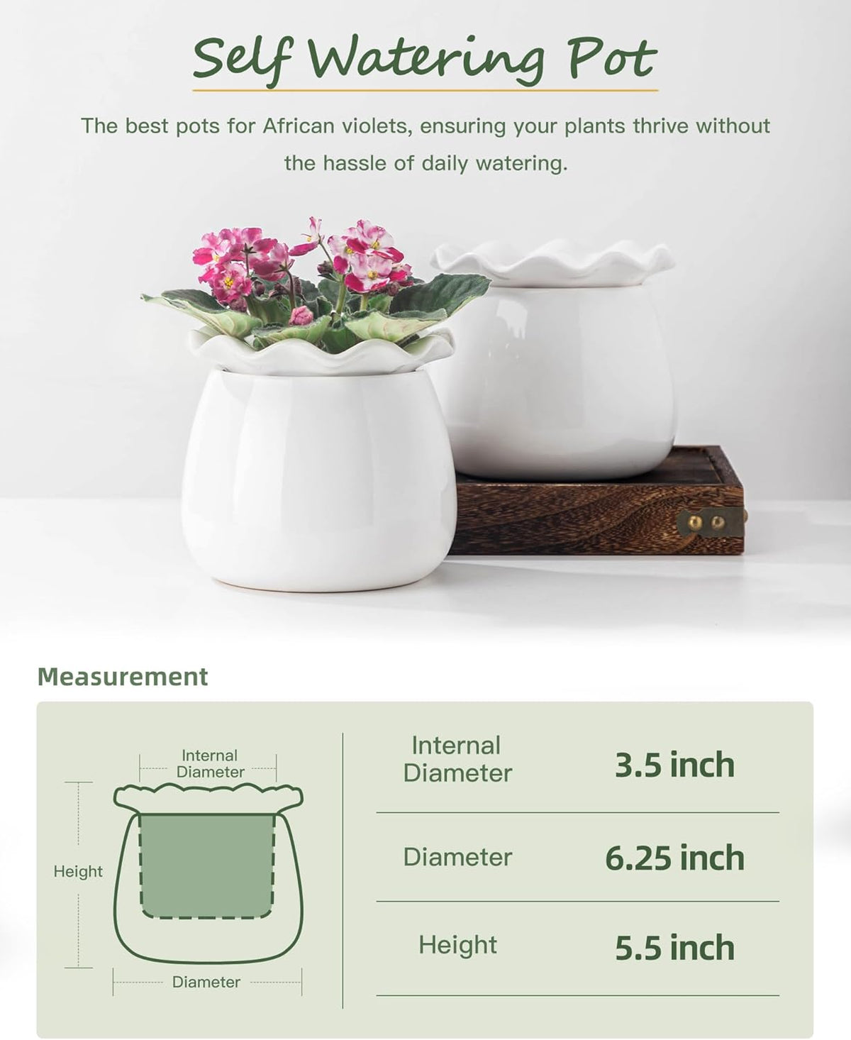 6 Inch Ceramic Self-Watering Plant Pot O625776