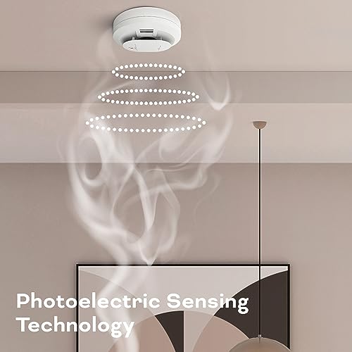 AA Battery Powered Smoke & Carbon Monoxide Detector, 2 Pack P671