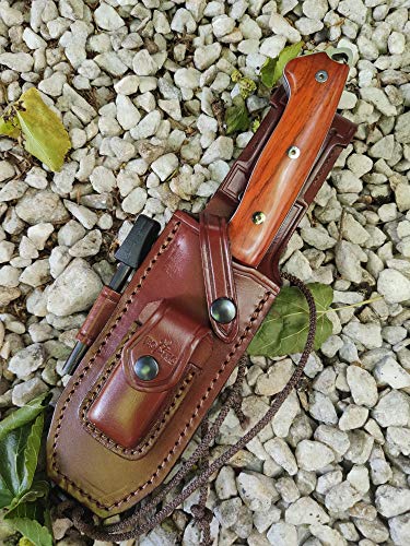 Fixed Blade Full Tang 11" MOVA Stainless Steel Knife with Sheath G92525