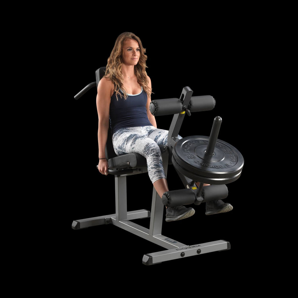 Seated Leg Extension and Supine Curl X9841