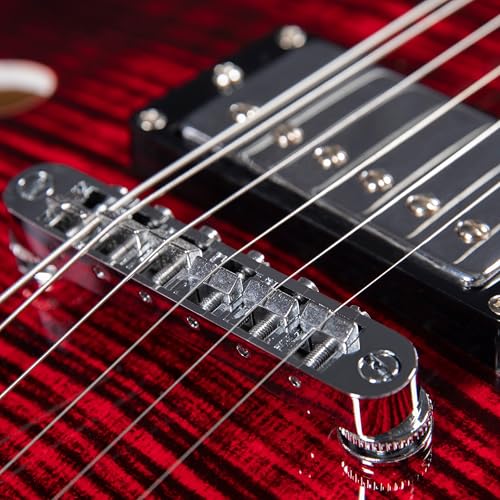 Black Semi-Hollow Body Electric Guitar S90771