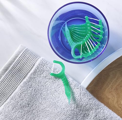 Mint Dental Floss Picks, 225 Picks (Pack of 2) X165