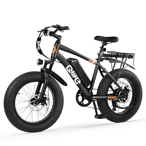 Fat Tire Electric Bike with 20X4.0 Tire, 7-Speed D8552