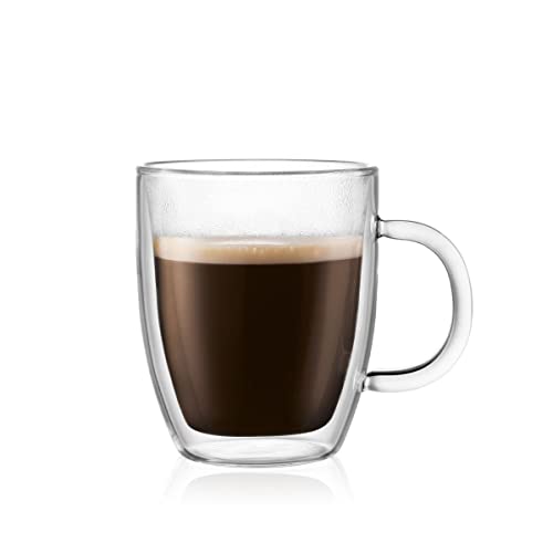 10oz Double Wall Insulated Glass Mug Set of 2 J74487