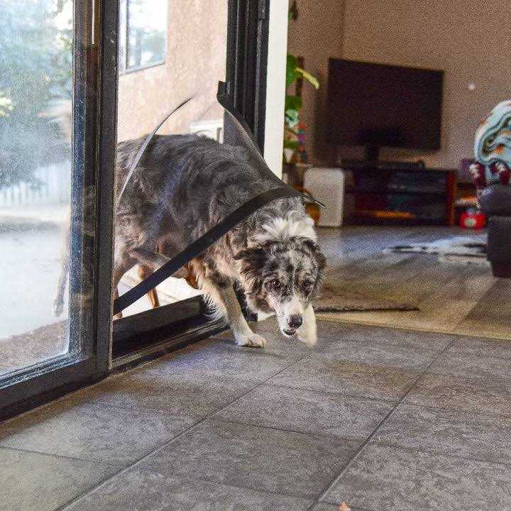 Screen Pet Door Conversion Kit for Screen Door W228658